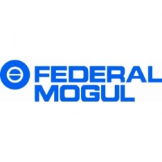 Розподільний вал (480EE-BJ1006015) AE Federal Mogul 